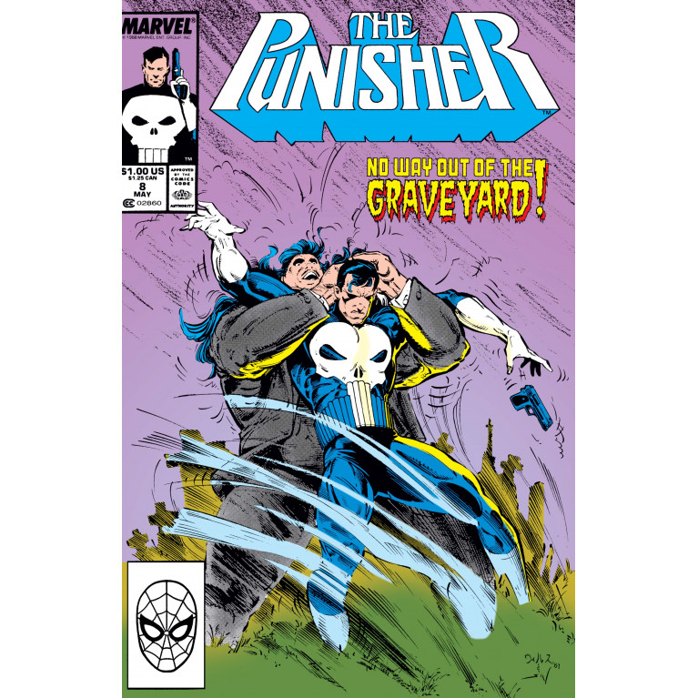 The Punisher #8